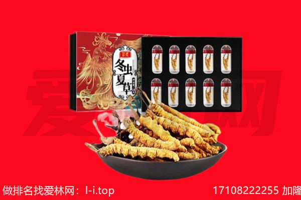 武汉市江汉回收虫草.jpg